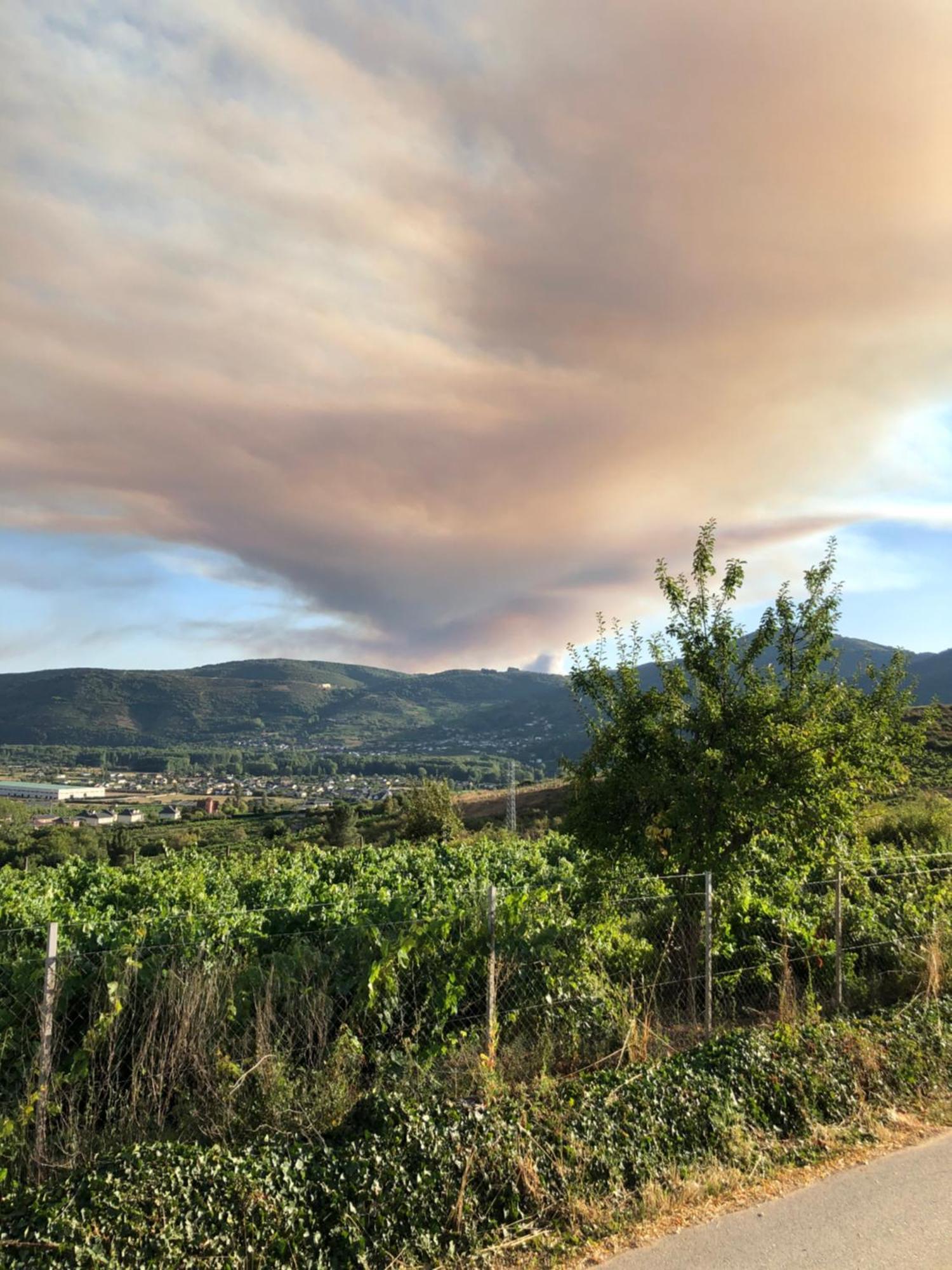 Boutique Finca Esencial Villafranca Del Bierzo Exteriör bild