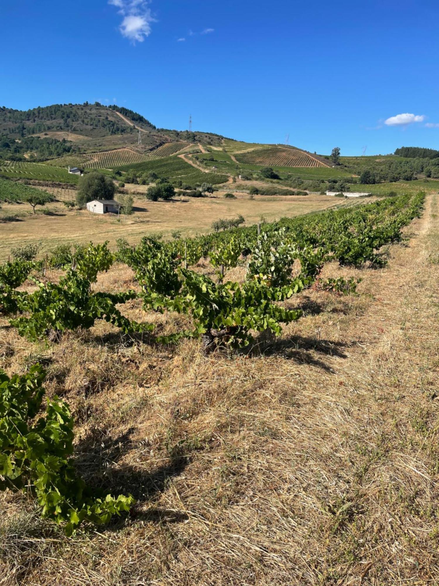 Boutique Finca Esencial Villafranca Del Bierzo Exteriör bild