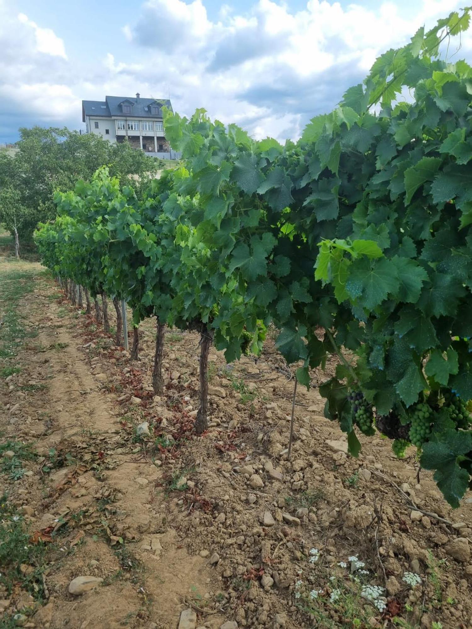 Boutique Finca Esencial Villafranca Del Bierzo Exteriör bild