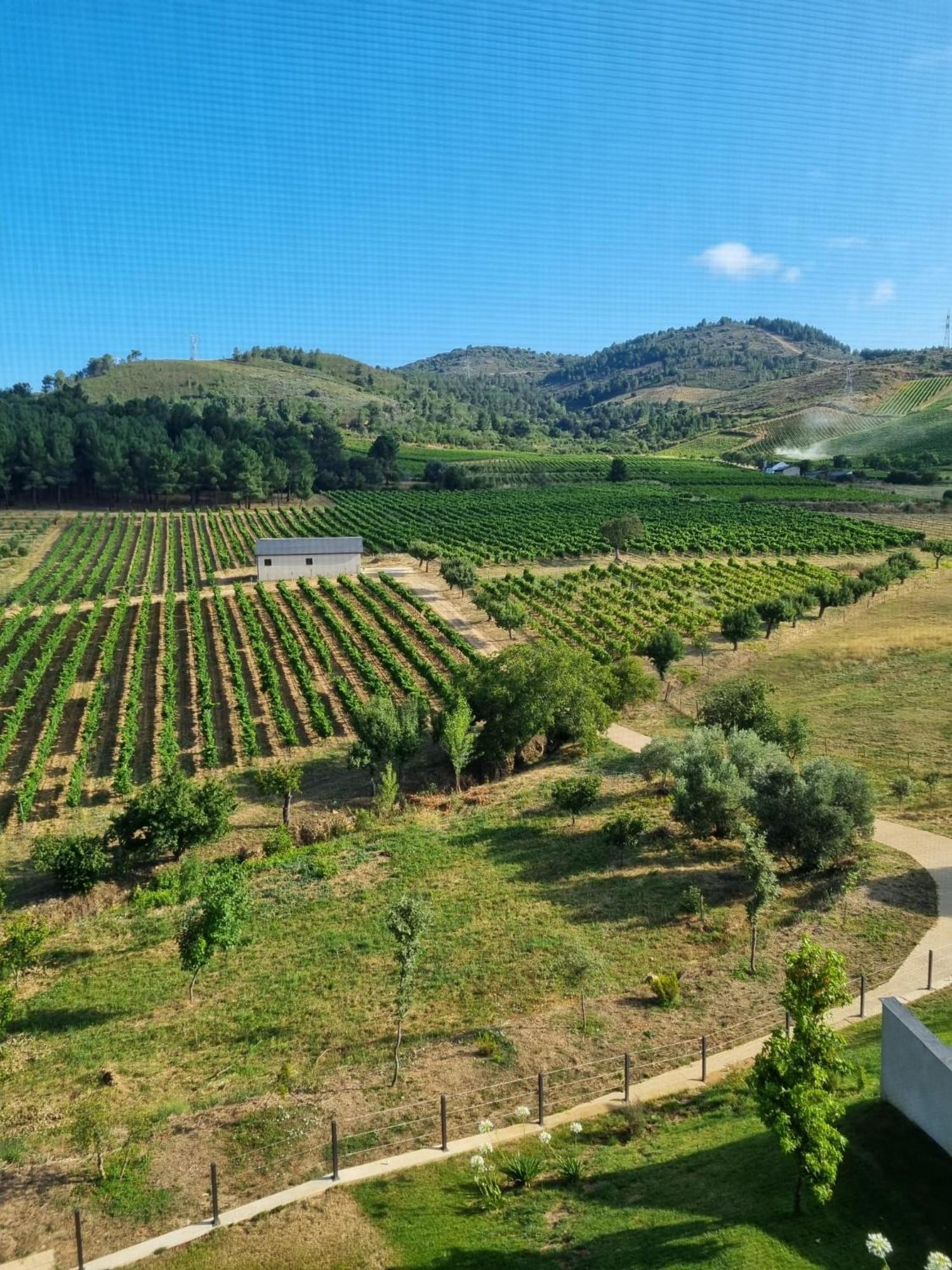 Boutique Finca Esencial Villafranca Del Bierzo Exteriör bild