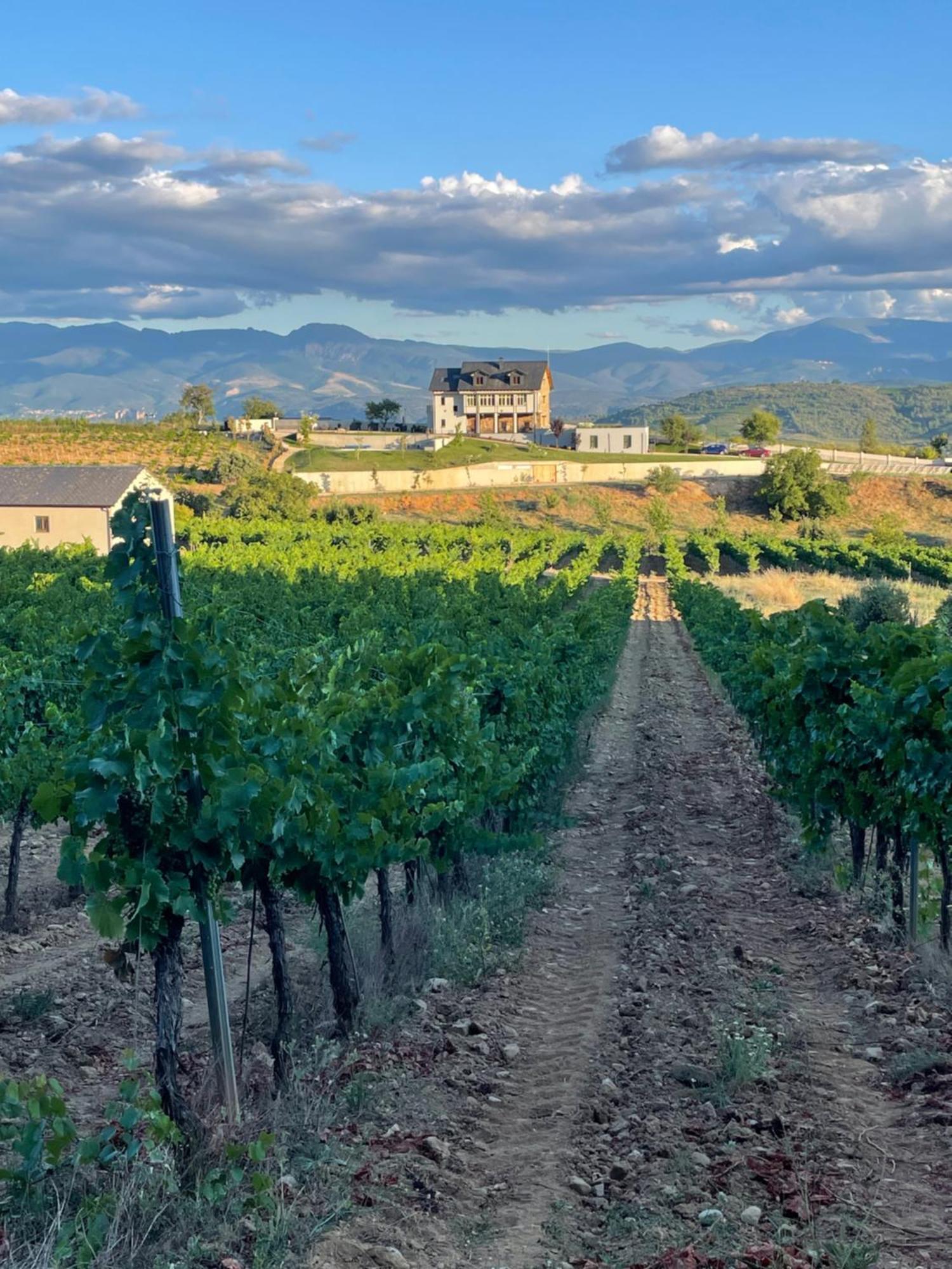 Boutique Finca Esencial Villafranca Del Bierzo Exteriör bild